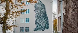 Город кошек - Зеленоградск